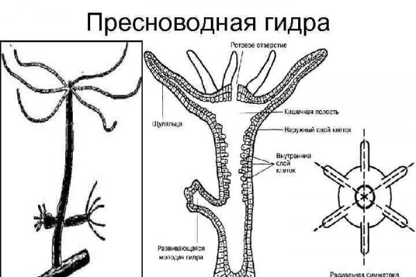Даркнет кракен отзывы о платформе