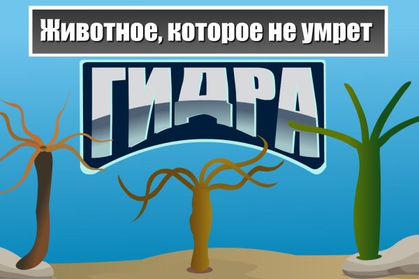 Кракен магазин тор