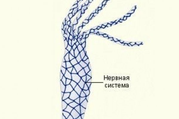 Кракен актуальная ссылка