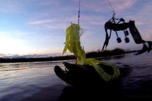 Kraken 18at зеркало