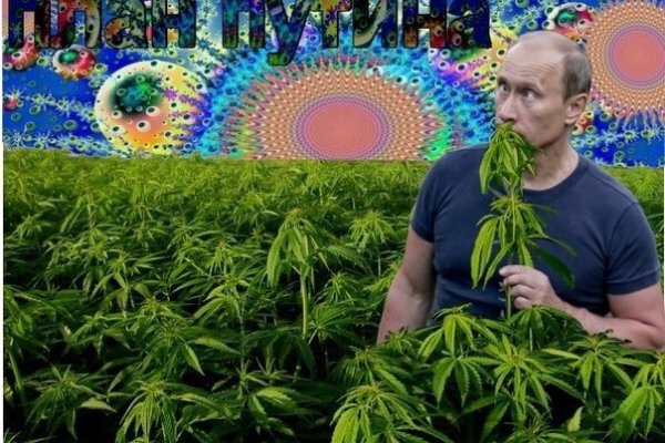 Где купить наркоты