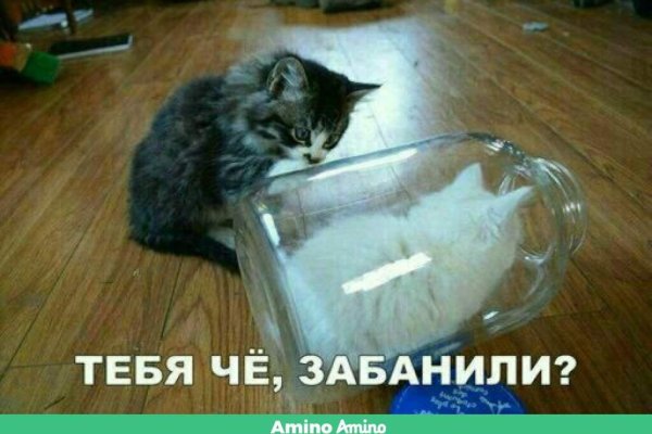 Кракен наркологический
