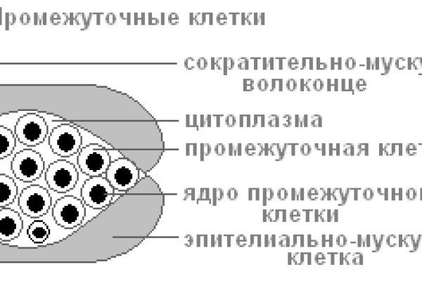 Кракен дарк оригинал ссылка