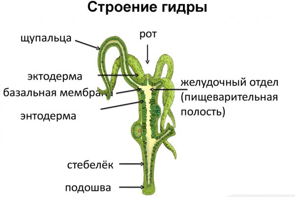 Кракен даркнет купить