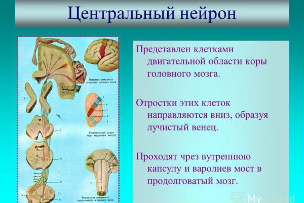 Кракен актуальная ссылка на сегодня