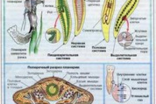 Кракен наркоторговля