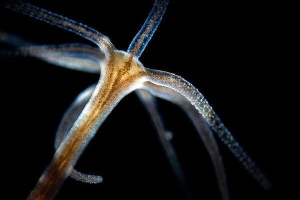 Kraken ссылки актуальные 2025 г